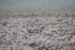 IMG_0100
