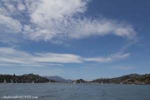 IMG_3907