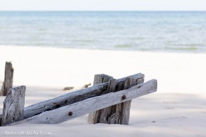 IMG_4114