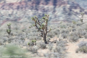 IMG_4829