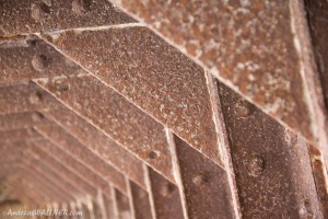 IMG_6580