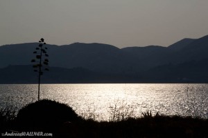 IMG_7520