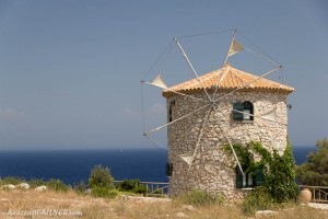 IMG_8029